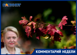 Почему одни листья желтеют, а другие краснеют, рассказала директор учебного ботанического сада КубГУ