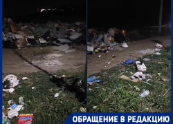 Жители краснодарского поселка гуляют среди мусорных куч и зарослей амброзии