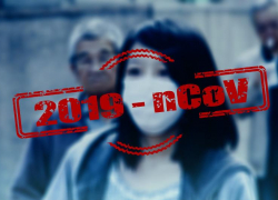 Краснодар, Белореченский район и Армавир стали основными очагами заражения коронавирусом в крае за сутки