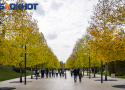 Настоящая золотая осень: что ждет жителей Кубани в ноябрьские выходные