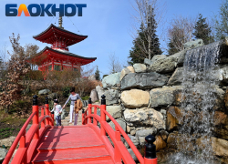 Придет ли на Кубань сумасшедшее потепление в начале весны - озвучен прогноз