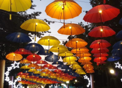 Секс-притон с несовершеннолетними обнаружили силовики Краснодара