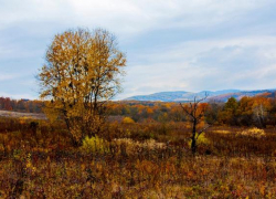 Художественный флешмоб пройдет в Апшеронском районе