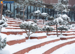 Мороз не хочет уходить из Краснодара: о погоде на 20 января  