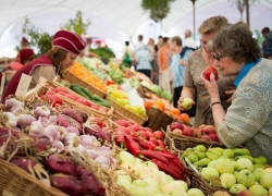 В Краснодаре значительно подорожали апельсины, виноград и косметика
