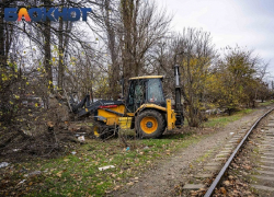 Бюджет Краснодара получит 31 млн рублей за разрешение на вырубку деревьев у депо