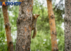 Новая неделя в Краснодаре начнётся с ясного и прохладного дня