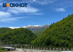 От Кореновска и Динской до Кабардинки: 5 парков, куда съездить из Краснодара на один день