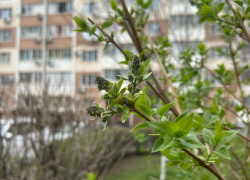 Сильный ветер и дождь ждут Краснодар сегодня 