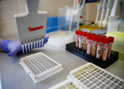 Число заболевших коронавирусом на Кубани составило 2222 человека