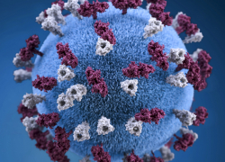 В Краснодарском крае за сутки обнаружили 561 случай COVID-19 