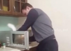 Тренд на жестокость: на Кубани мужчина засунул кота в микроволновку