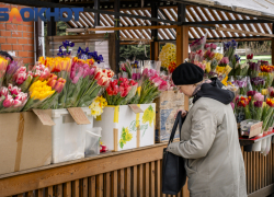 Важное в Краснодаре 13 марта: изобретение интернета, третий день Масленицы, День умных и привлекательных