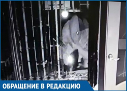 Грабитель в трусах на голове держит в страхе предпринимателей Краснодара