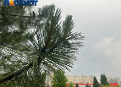 Сильный дождь и гроза накроют Краснодар в конце рабочей недели