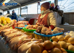 В Краснодаре к Новому году выросли цены: официальные данные