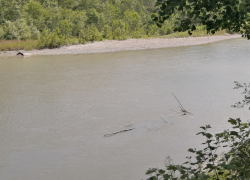 В Краснодарском крае в реке исчезла девочка