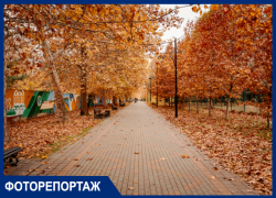 Яркие краски осени в Краснодаре