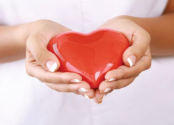 Донорская акция по сдаче крови на типирование пройдет на Кубани