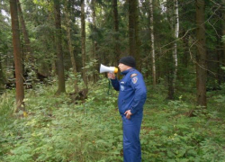 Загулявшего молодого человека домой вернули спасатели