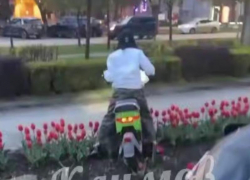 Краснодарка на электромопеде разворотила клумбы в центре города