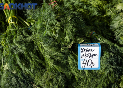 В первый день весны в Краснодаре заработали 8 ярмарок выходного дня 