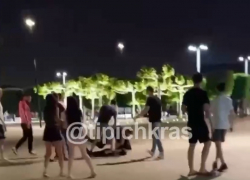 В Краснодаре полиция ищет участников массовой драки в парке Галицкого