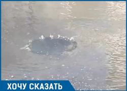 «Канализационная река» периодически появляется в Краснодаре