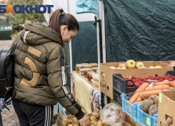 Рост цен на овощи в Краснодарском крае замедлился 