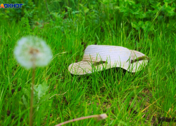 Ох, лето красное! Жителей Краснодарского края и всей России ждет ряд нововведений с 1 июня 2025 года 