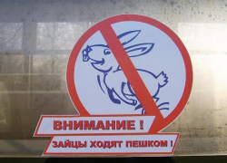 Северокавказская железная дорога высадила около 500 безбилетников