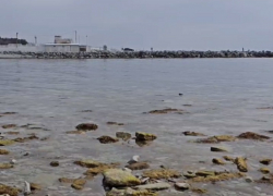 «Морские туманы и никаких пятен»: блогер показал обстановку на пляже в Геленджике