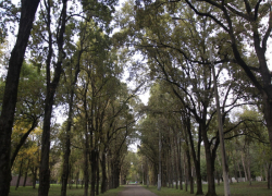 Дракон и заброшенный ресторан: Солнечный остров Краснодара осенью