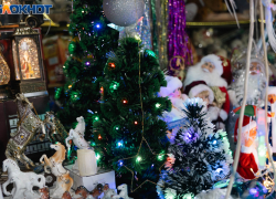 Символ года за 86 тысяч рублей: чем краснодарцы могут украсить новогоднюю елку