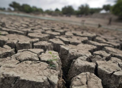 На Кубани чиновник уничтожает уникальный водоем