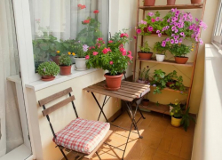 Балкон как вид искусства: сажаем цветы в квартире осенью