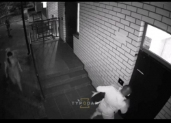 Полиция Краснодара проверит жестокое обращение мужчины с его собакой