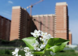 Чем микрорайон Молодежный отличается от других районов Краснодара