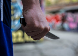 В Краснодарском крае экс-председатель СНТ устроил кровавую резню 