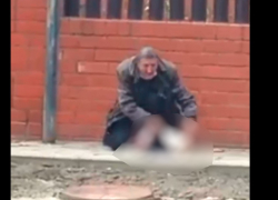 Работник похоронного бюро разделал кота на глазах у детей в Краснодарском крае