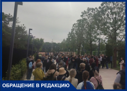 Коды разлетаются за 10 минут: в Японском саду парка "Краснодар" ажиотаж