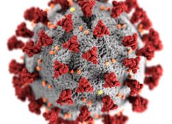 Коронавирус набирает обороты: 254 заболевших за сутки в крае