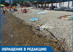 Курортный сбор на Кубани идет полным ходом, а убирать пляжи никто и не думает, - мнение отдыхающих
