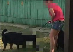 В Краснодаре ротвейлер загрыз кошку на глазах у жителей города