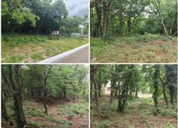 На благоустройство нового экопарка в Краснодарском крае потратят 122 млн рублей