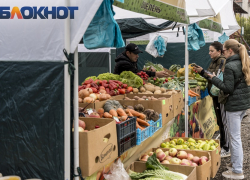 Куры, творог и картофель подорожали в Краснодаре за неделю