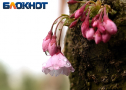 На Краснодар надвигаются тучи и понижение температуры