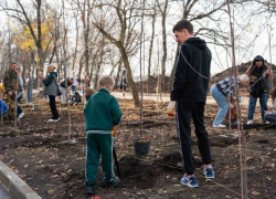 Фруктовый маршрут: DOGMA высадила плодовую аллею в микрорайоне «Самолет»