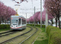 Четыре трамвайных маршрута в Краснодаре изменят расписание