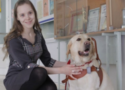 Слепая краснодарка выпала из трамвая из-за невнимательного водителя